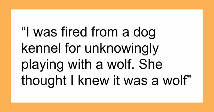 103 Bosses Share The Funniest And Weirdest Reasons They Had To Fire Someone