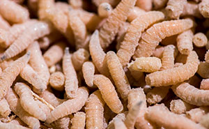 28 Times Doctors And Nurses Encountered Something Truly Revolting