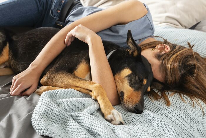 A person sleeping soundly on a bed with their arm draped over a black and tan dog. Pets acted suspiciously like humans.
