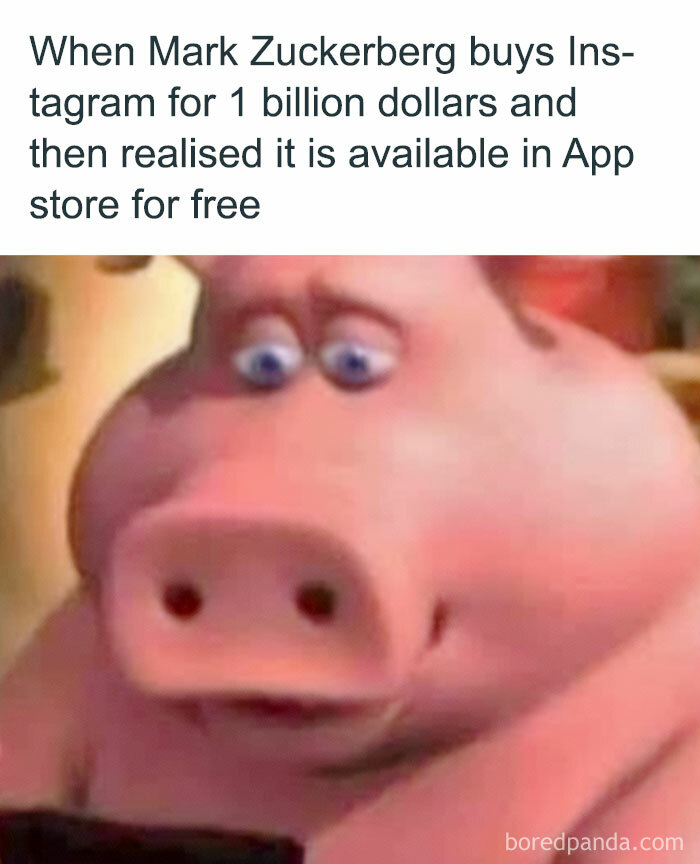Funny and lighthearted meme showing a surprised cartoon pig reacting to an Instagram app purchase joke.