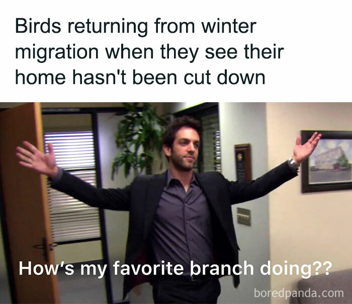 Bird Puns