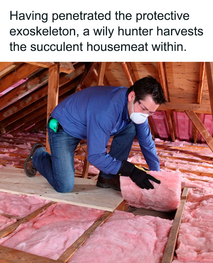 Man wearing mask and gloves installs pink insulation in attic, a lighthearted meme for those who like safe-for-work content.