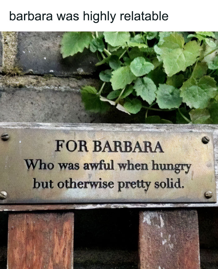 Bronze plaque on wooden bench humorously honoring Barbara for being awful when hungry but otherwise solid in funny safe-for-work memes.