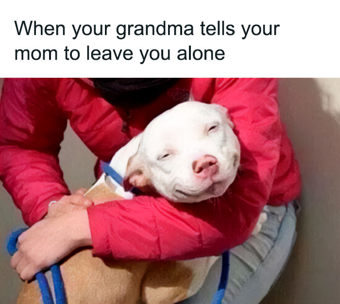 Smiling dog being hugged, illustrating a funny and lighthearted safe-for-work meme about family interactions.