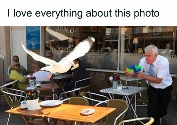 Man playfully spraying water gun at a bird in a cafe, a funny and lighthearted meme safe for work.