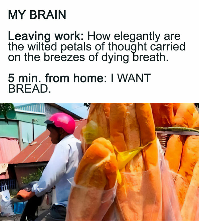 Man wearing pink helmet on a motorbike loaded with bread, illustrating funny and lighthearted safe-for-work memes.