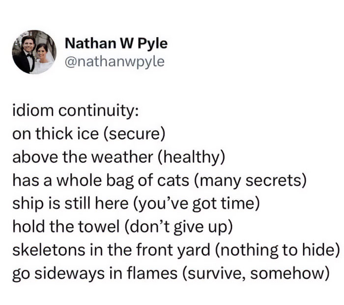 Funny and lighthearted safe-for-work meme text about idiom continuity with humorous alternative phrases.