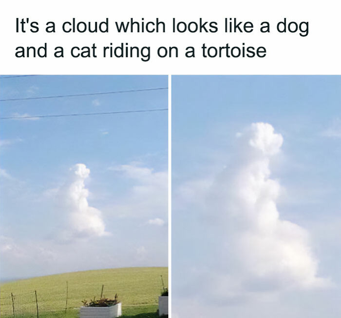 Cloud shaped like a dog and cat riding a tortoise, a funny and lighthearted safe-for-work meme outdoors on a clear day.