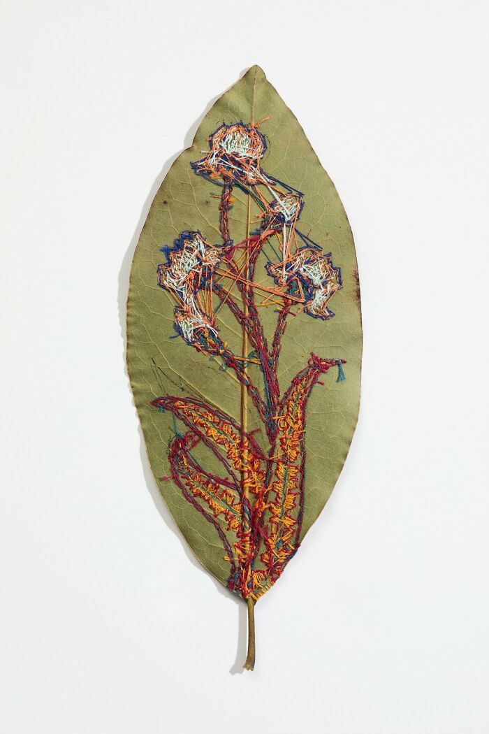 Stitched Botanicals