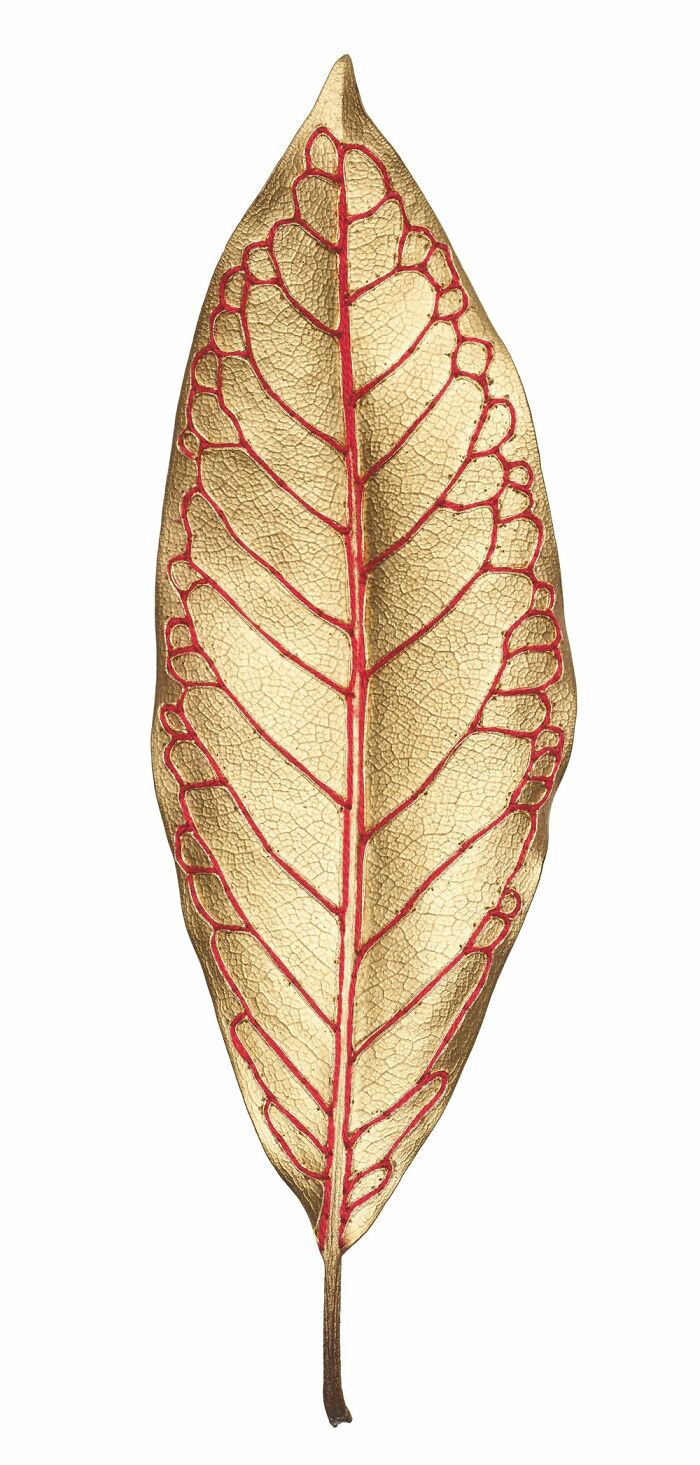 Collaboration With L’occtitane En Provence