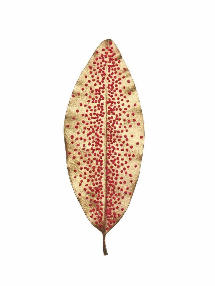 Collaboration With L’occtitane En Provence