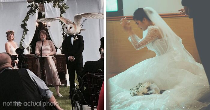 75 Trashy, Tacky, And Distasteful Wedding Stories