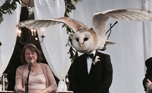 75 Times Weddings Went So Very Wrong, People Just Had To Vent Online