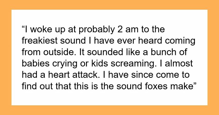 35 Extremely Disturbing Sounds People Heard But Really Wish They Hadn’t