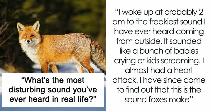 35 Extremely Disturbing Sounds People Heard But Really Wish They Hadn’t