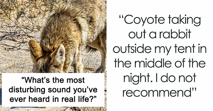 35 Extremely Disturbing Sounds People Heard But Really Wish They Hadn’t