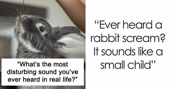 35 Extremely Disturbing Sounds People Heard But Really Wish They Hadn’t