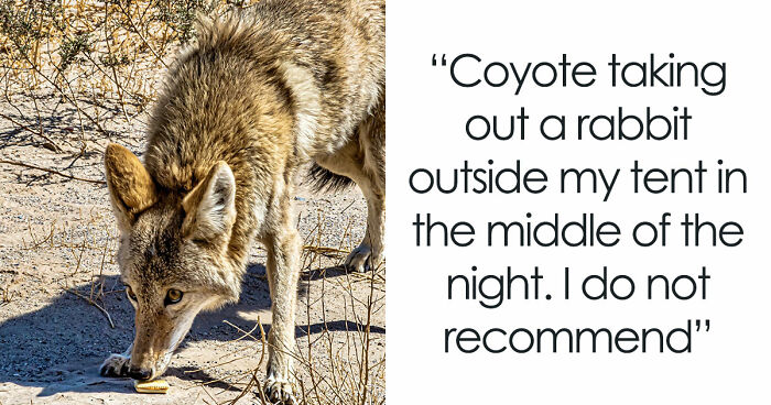 35 Extremely Disturbing Sounds People Heard But Really Wish They Hadn’t