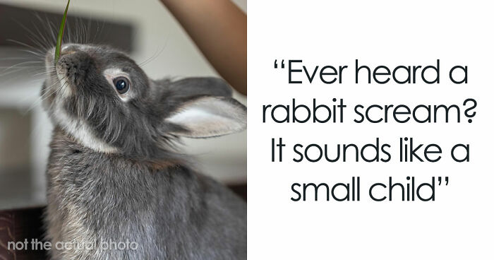 35 Extremely Disturbing Sounds People Heard But Really Wish They Hadn’t