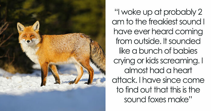 35 Extremely Disturbing Sounds People Heard But Really Wish They Hadn’t