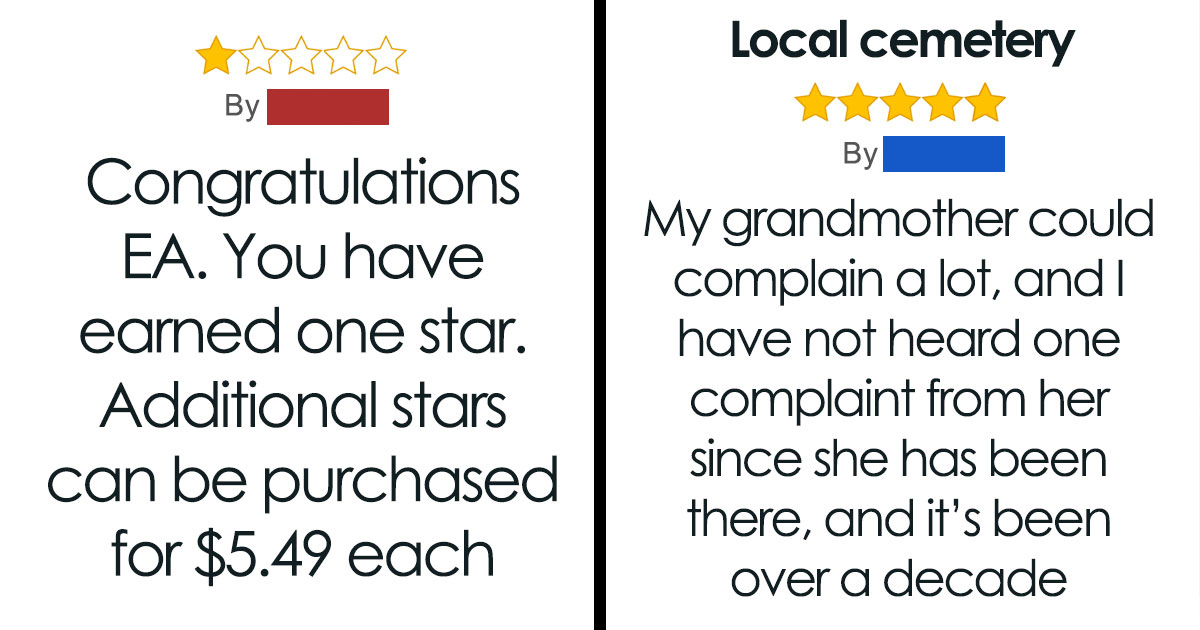 “The Most Beautiful Place I’ve Argued With My Wife”: 67 Of The Most Hilarious Reviews (New Pics)