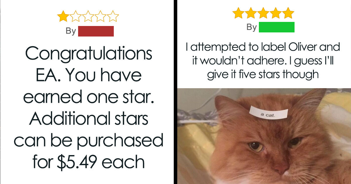 “The Most Beautiful Place I’ve Argued With My Wife”: 67 Of The Most Hilarious Reviews (New Pics)