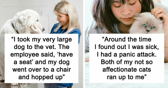 “It Was Kinda Spooky TBH”: 51 Times People Pets Acted Suspiciously Like Humans