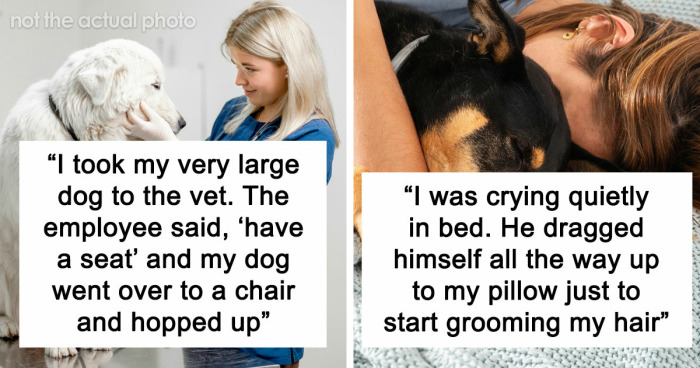 “It Was Kinda Spooky TBH”: 51 Times People Pets Acted Suspiciously Like Humans