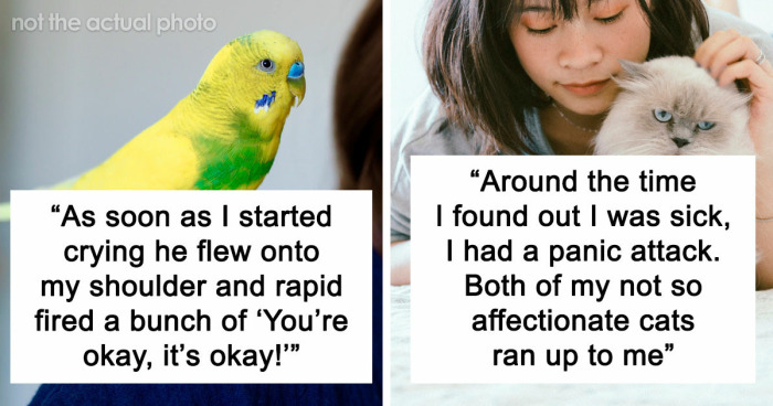 “It Was Kinda Spooky TBH”: 51 Times People’s Pets Acted Suspiciously Like Humans
