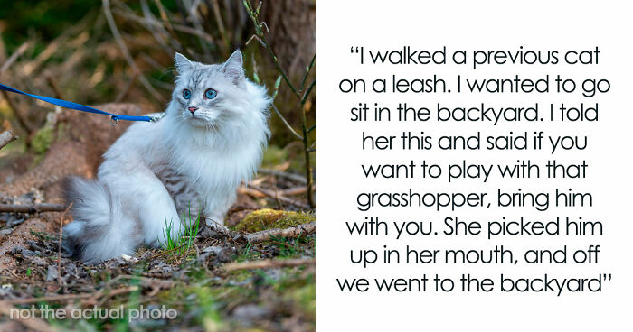 “It Was Kinda Spooky TBH”: 51 Times People Pets Acted Suspiciously Like Humans