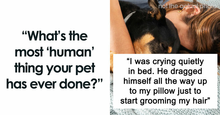 “It Was Kinda Spooky TBH”: 51 Times People Pets Acted Suspiciously Like Humans