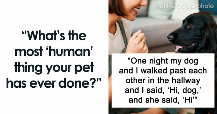“It Was Kinda Spooky TBH”: 51 Times People Pets Acted Suspiciously Like Humans