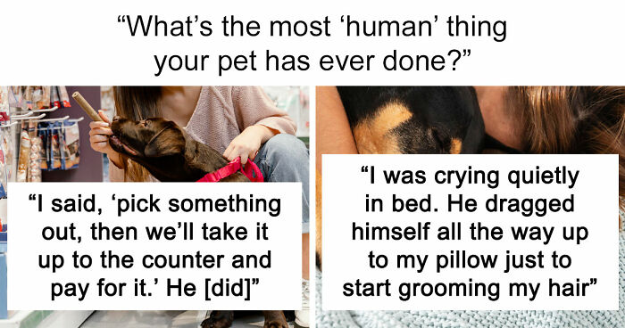 “It Was Kinda Spooky TBH”: 51 Times People Pets Acted Suspiciously Like Humans