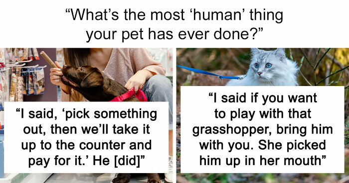 “It Was Kinda Spooky TBH”: 51 Times People Pets Acted Suspiciously Like Humans