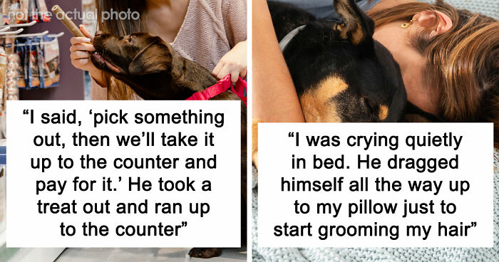 “It Was Kinda Spooky TBH”: 51 Times People Pets Acted Suspiciously Like Humans