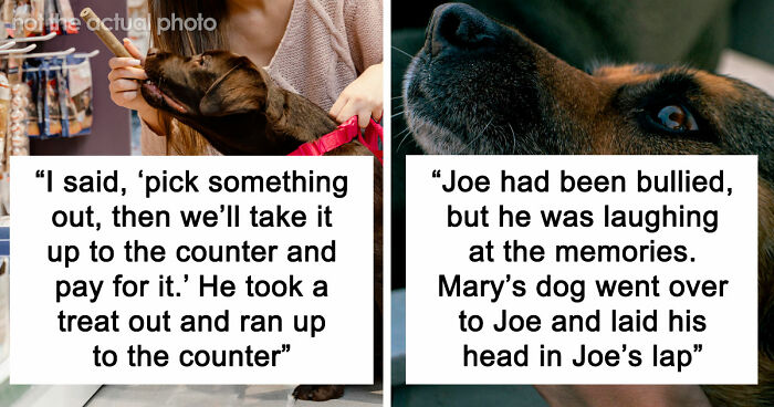 “It Was Kinda Spooky TBH”: 51 Times People Pets Acted Suspiciously Like Humans