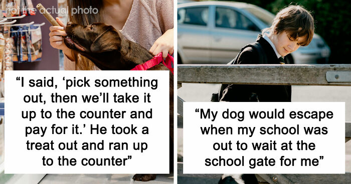 “It Was Kinda Spooky TBH”: 51 Times People Pets Acted Suspiciously Like Humans