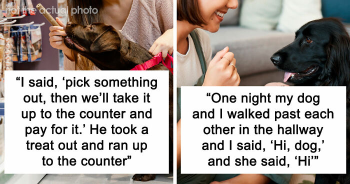“It Was Kinda Spooky TBH”: 51 Times People Pets Acted Suspiciously Like Humans