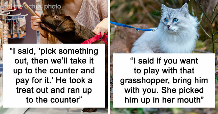“It Was Kinda Spooky TBH”: 51 Times People Pets Acted Suspiciously Like Humans