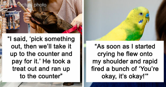 “It Was Kinda Spooky TBH”: 51 Times People Pets Acted Suspiciously Like Humans