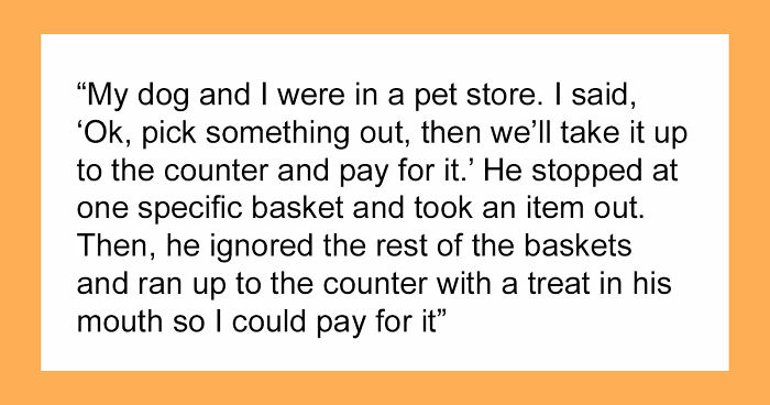 “It Was Kinda Spooky TBH”: 51 Times People Pets Acted Suspiciously Like Humans