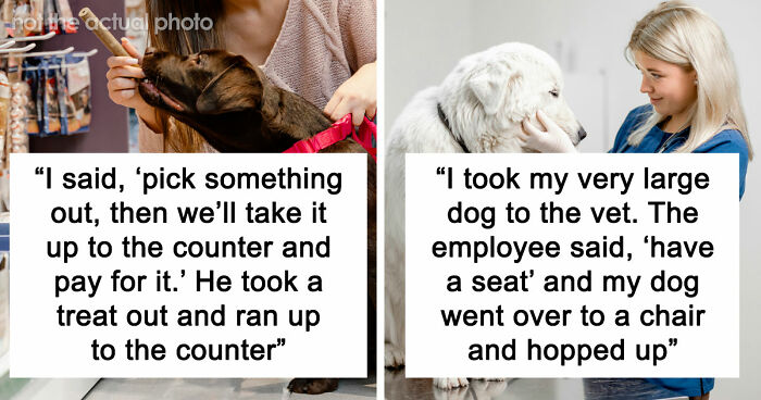 “It Was Kinda Spooky TBH”: 51 Times People Pets Acted Suspiciously Like Humans