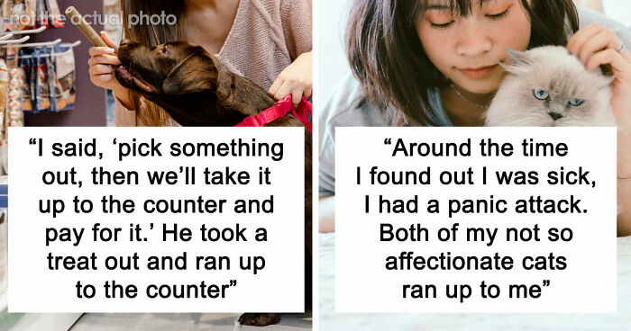 “It Was Kinda Spooky TBH”: 51 Times People Pets Acted Suspiciously Like Humans