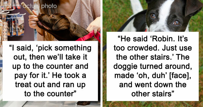 “It Was Kinda Spooky TBH”: 51 Times People Pets Acted Suspiciously Like Humans
