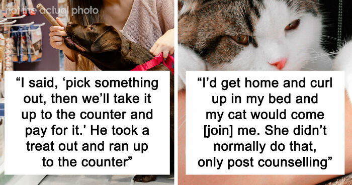 “It Was Kinda Spooky TBH”: 51 Times People Pets Acted Suspiciously Like Humans