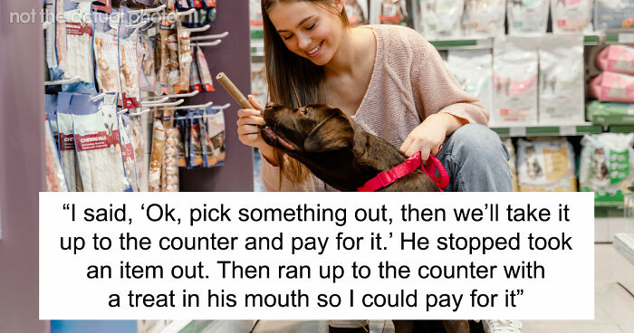“It Was Kinda Spooky TBH”: 51 Times People Pets Acted Suspiciously Like Humans