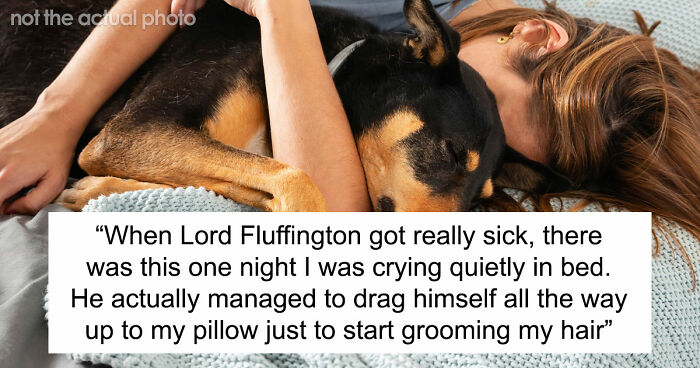 “It Was Kinda Spooky TBH”: 51 Times People Pets Acted Suspiciously Like Humans
