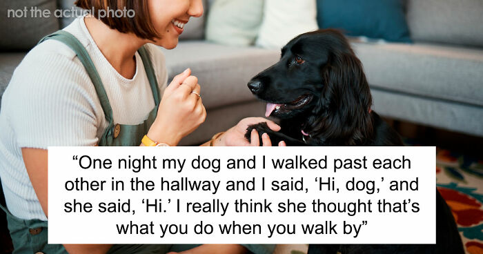 “It Was Kinda Spooky TBH”: 51 Times People Pets Acted Suspiciously Like Humans