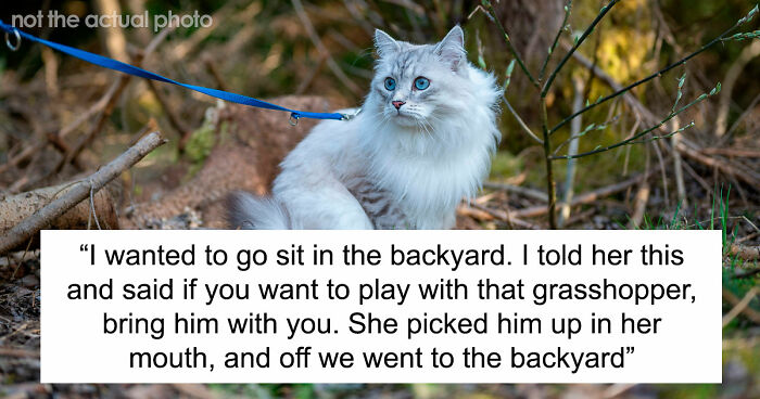 “It Was Kinda Spooky TBH”: 51 Times People Pets Acted Suspiciously Like Humans
