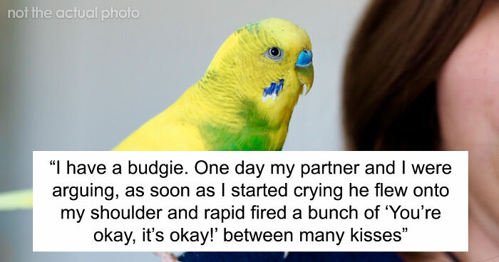 “It Was Kinda Spooky TBH”: 51 Times People Pets Acted Suspiciously Like Humans